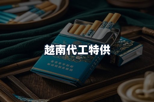 越南代工特供